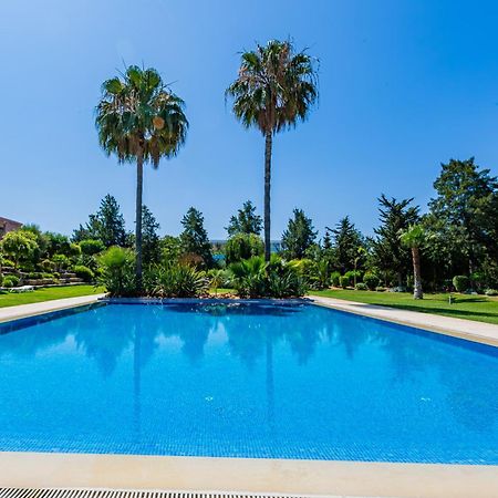 Willa Casa Colina Albufeira Zewnętrze zdjęcie